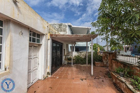 Casa.Mango.4