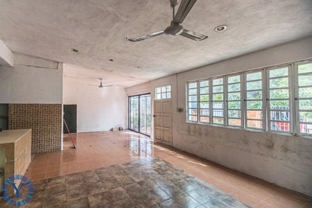 Casa.Mango.8