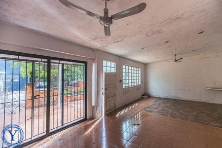 Casa.Mango.9