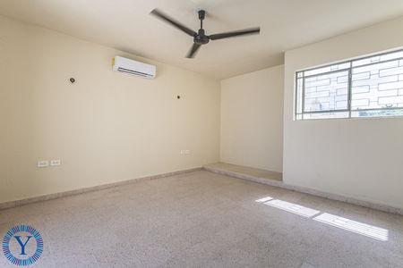 Casa.Waspa.New.19
