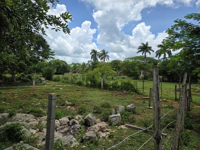 Land