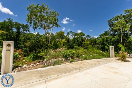 Lote.Provincia.13
