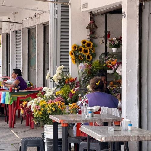 Why Chembech is Mérida’s Next Real Estate Hotspot