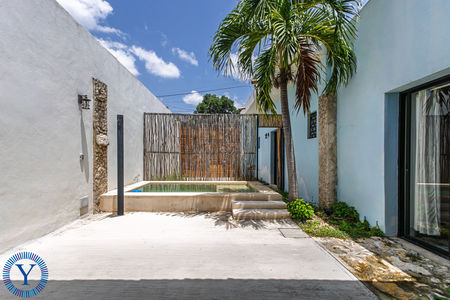 Casa.Axolotl.Watermark.10