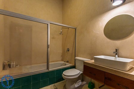 Casa.Axolotl.Watermark.11