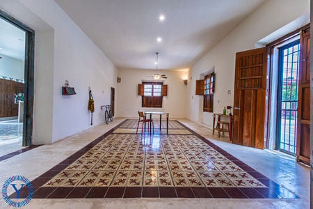 Casa.Axolotl.Watermark.14