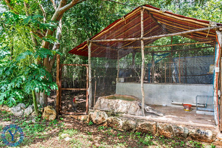 Casa.Sustentable.52