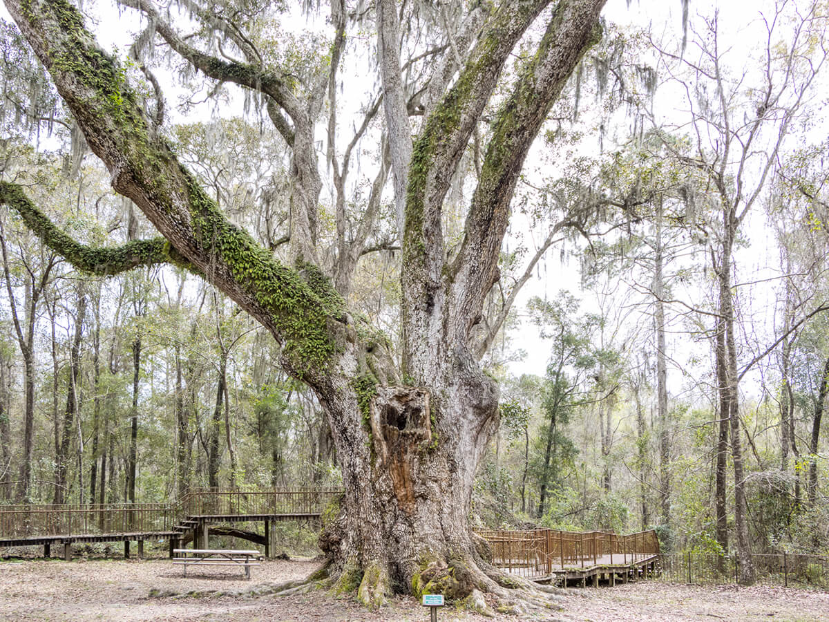 daphne_pitography_clgc_website_-16