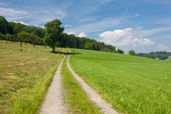 Land & Acreage For Sale in Smithville MO | What to Consider 