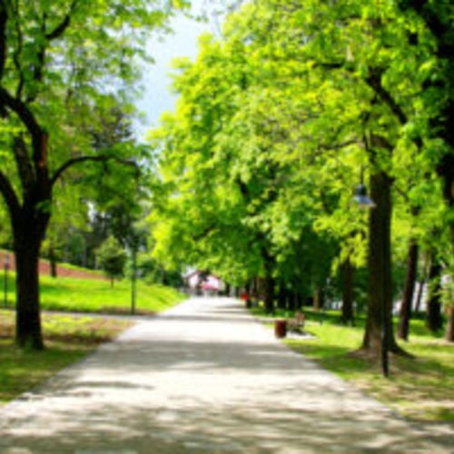 Top Neighborhoods in the Kansas City Northland for Families