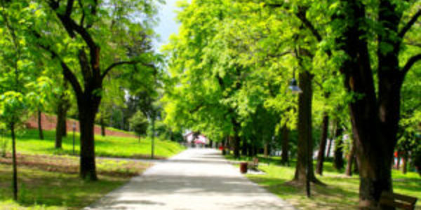 Kansas City Northland Real Estate | Fun Things …