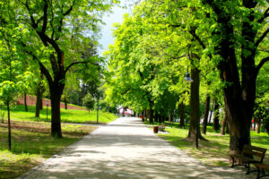 Kansas City Northland Real Estate | Fun Things To Do 