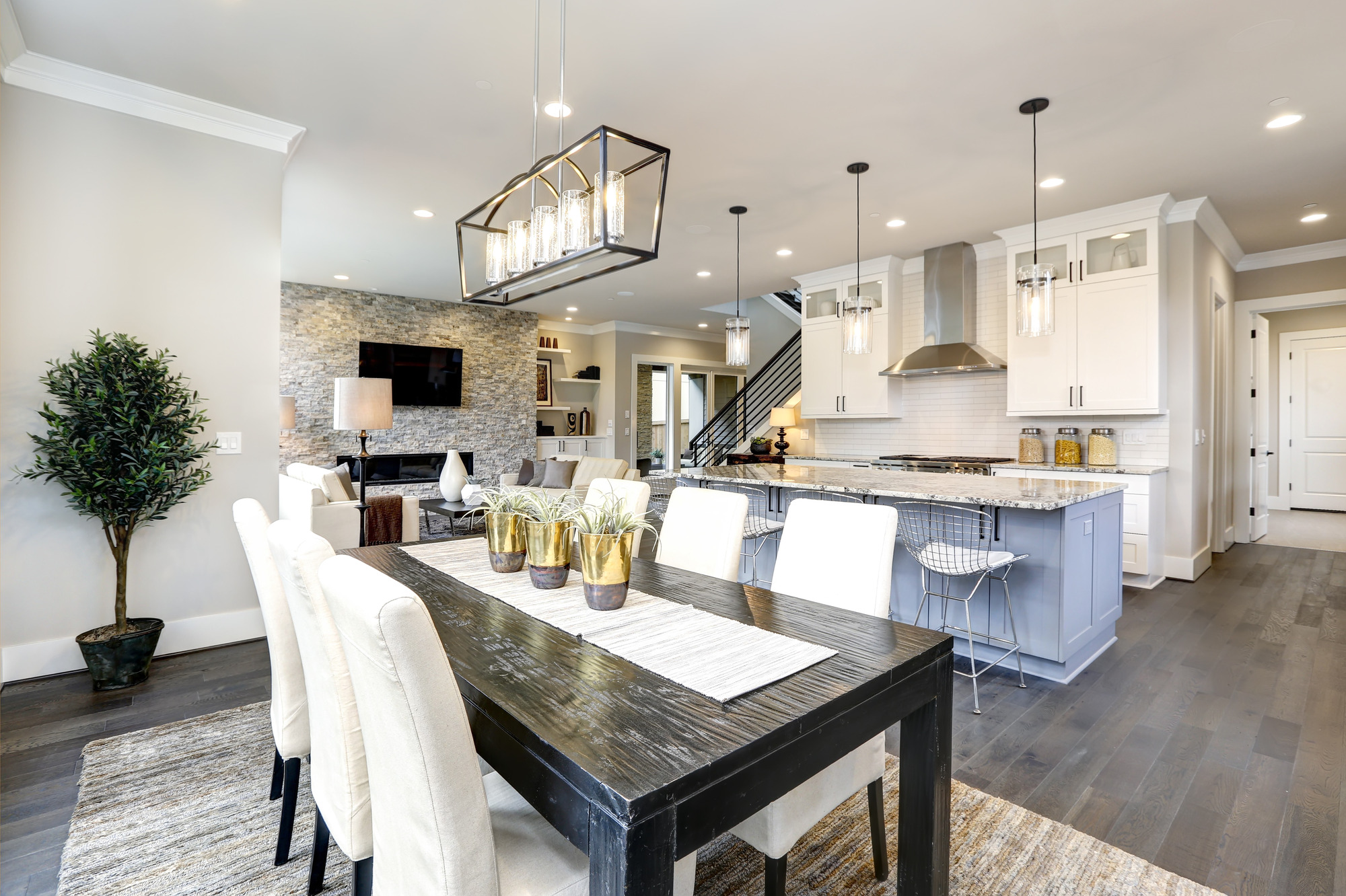 modern open concept kitchen