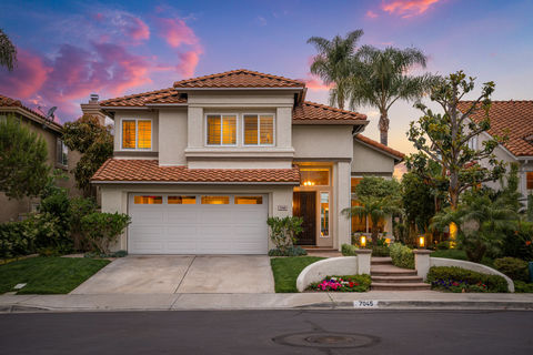 001_hivemedia_7045_via_cabana_vt-1_614