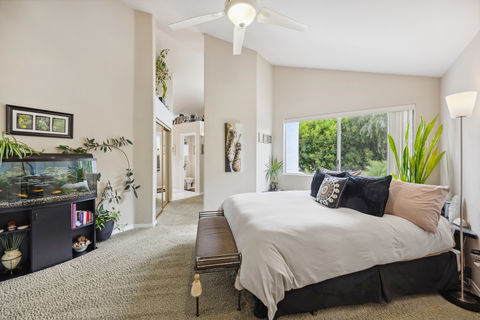 037_hivemedia_6839_caminito_sueno-6_434