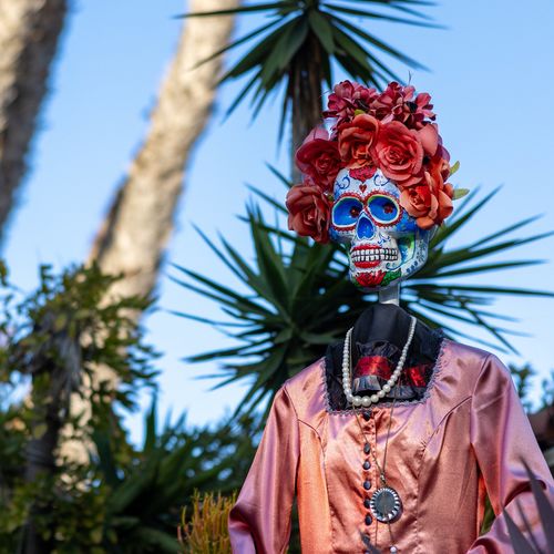 October 2025 San Diego Events and Festivals