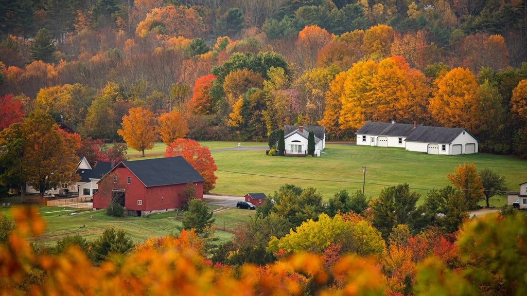 Cumberland