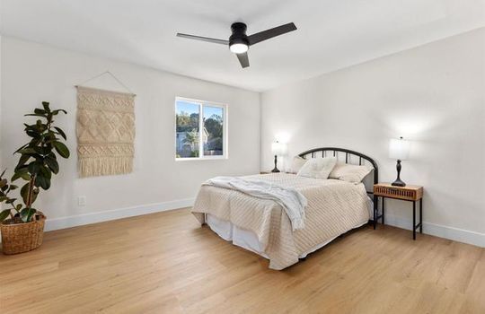 genMid.NDP2500303_19_2