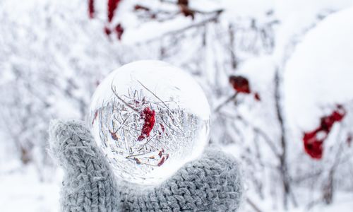 Winter Prep Sets the Stage for Spring Demand