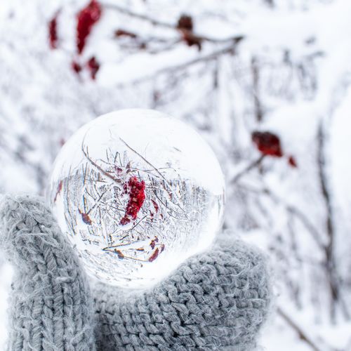 Winter Prep Sets the Stage for Spring Demand