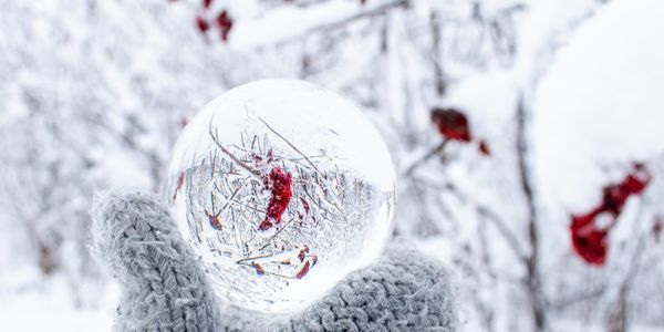 Winter Prep Sets the Stage for Spring Demand