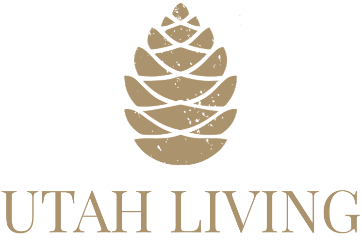 Home valuation Logo
