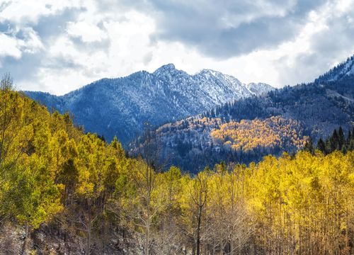 shutterstock_201560003_681573741434