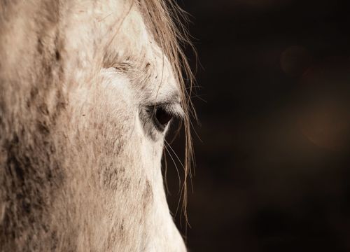 plain city cover (1)