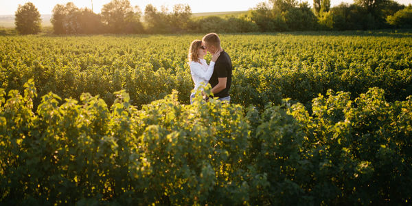 From Vineyard Views to Lavish Living: The Best …