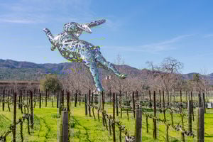 St. Helena Area Photos-MLS30