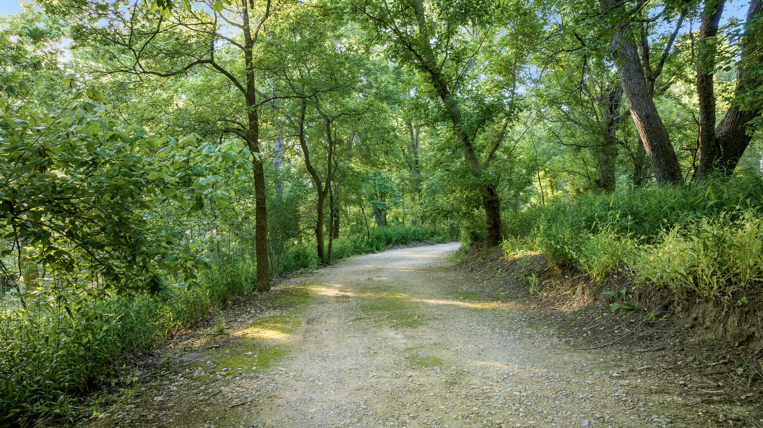 Private hiking trail in Three Creeks
