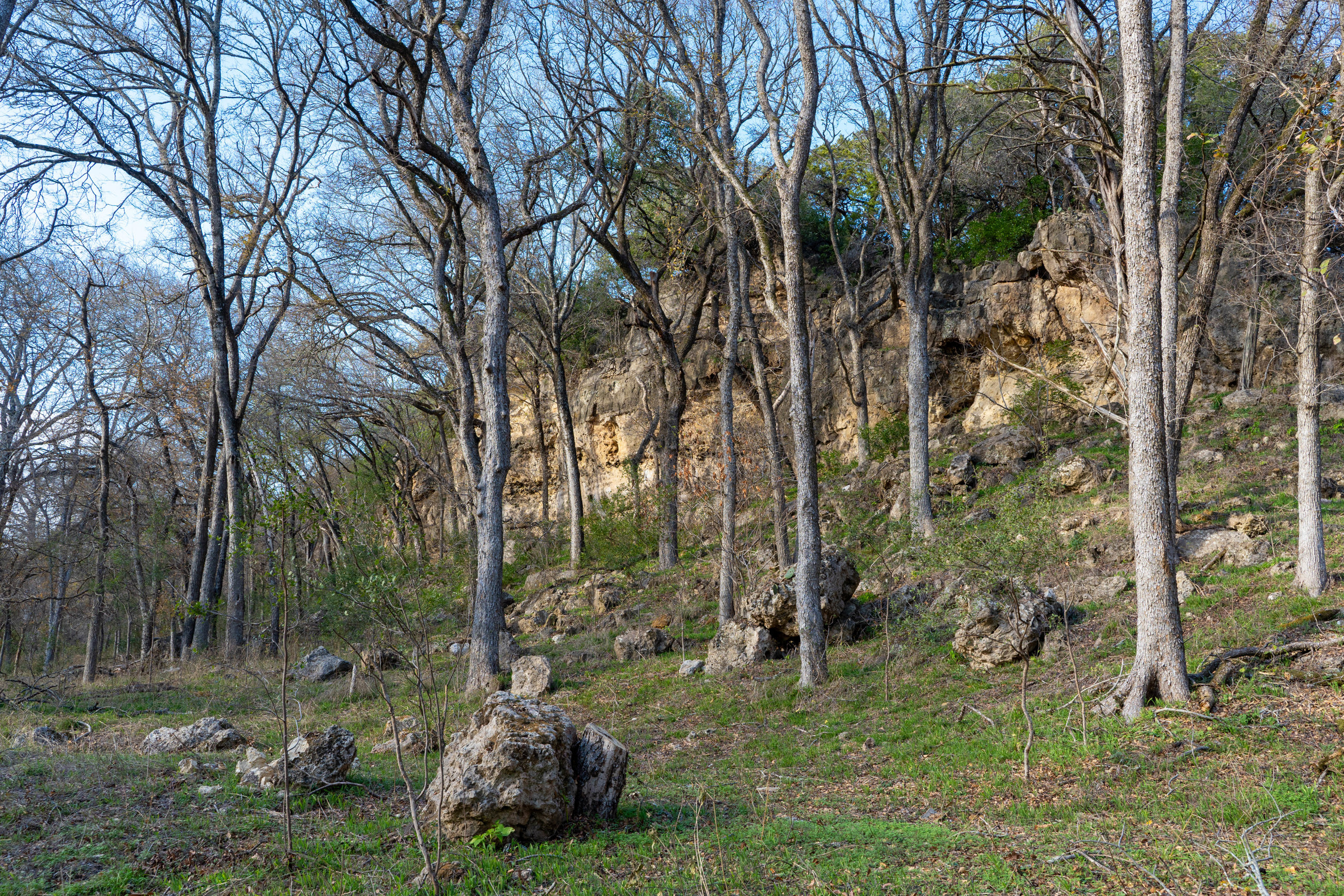 Lampasas River Greenbelt at Three Creeks