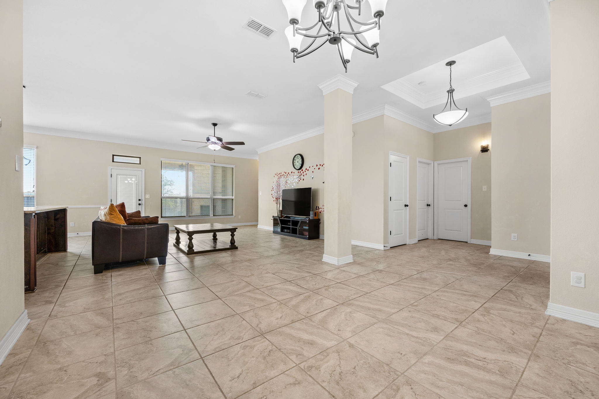 Open layout entry and living area