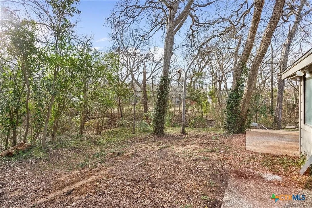 River Oaks back yard