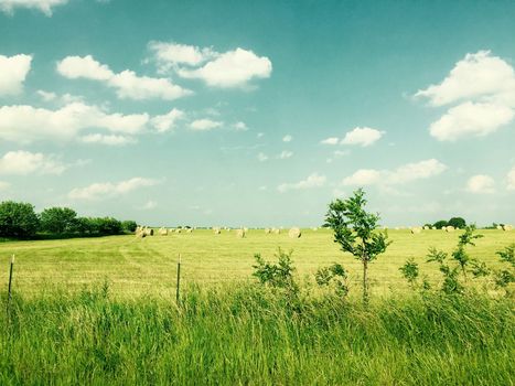 Land