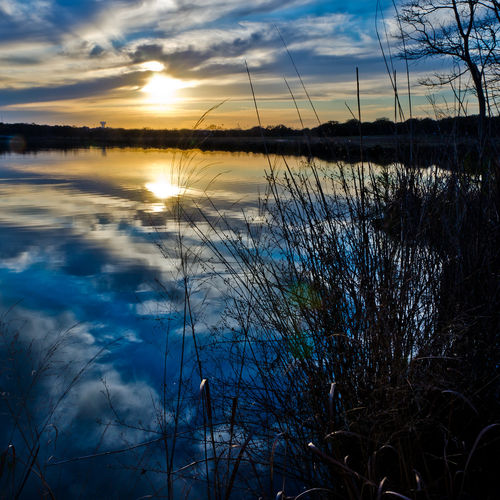 Get to Know Brushy Creek