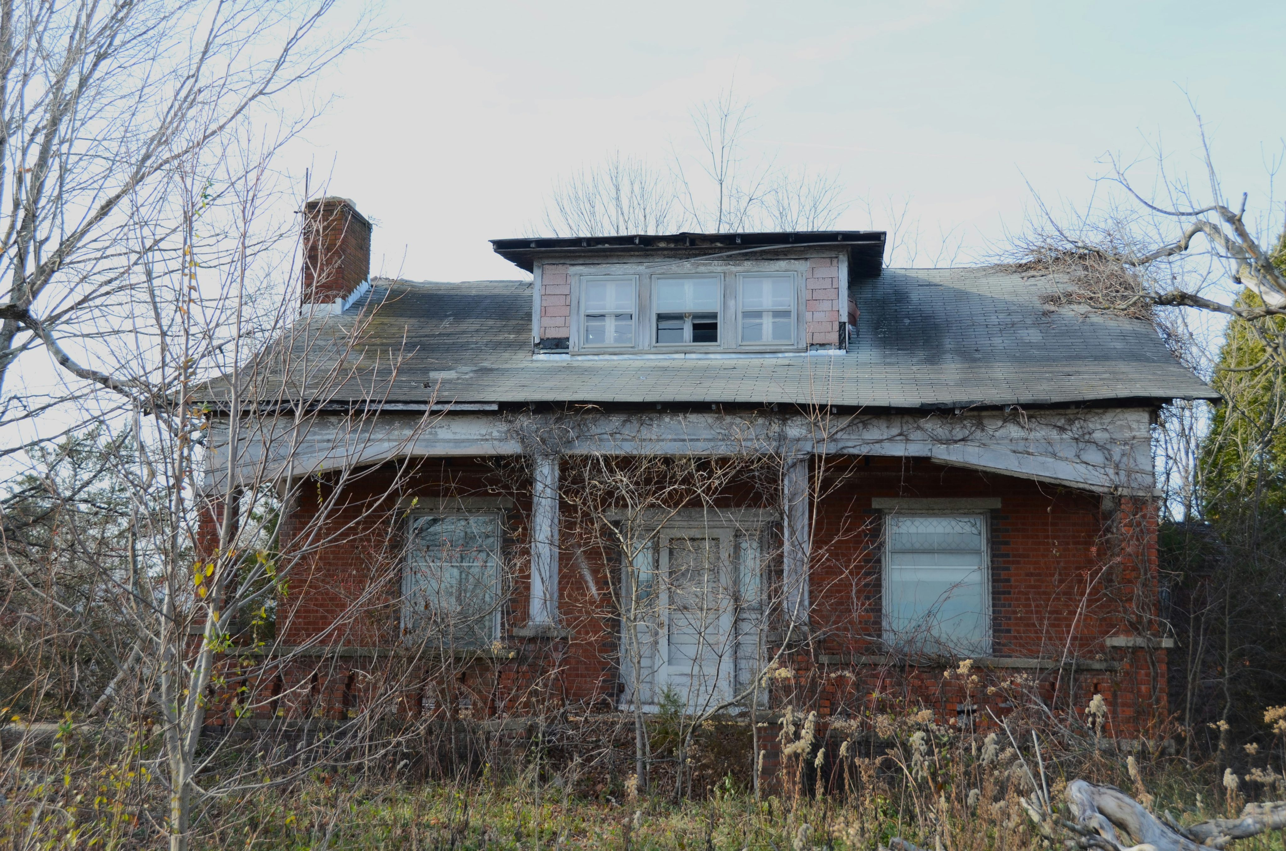 roger-starnes-sr-x5vKpPSM-7k-unsplash