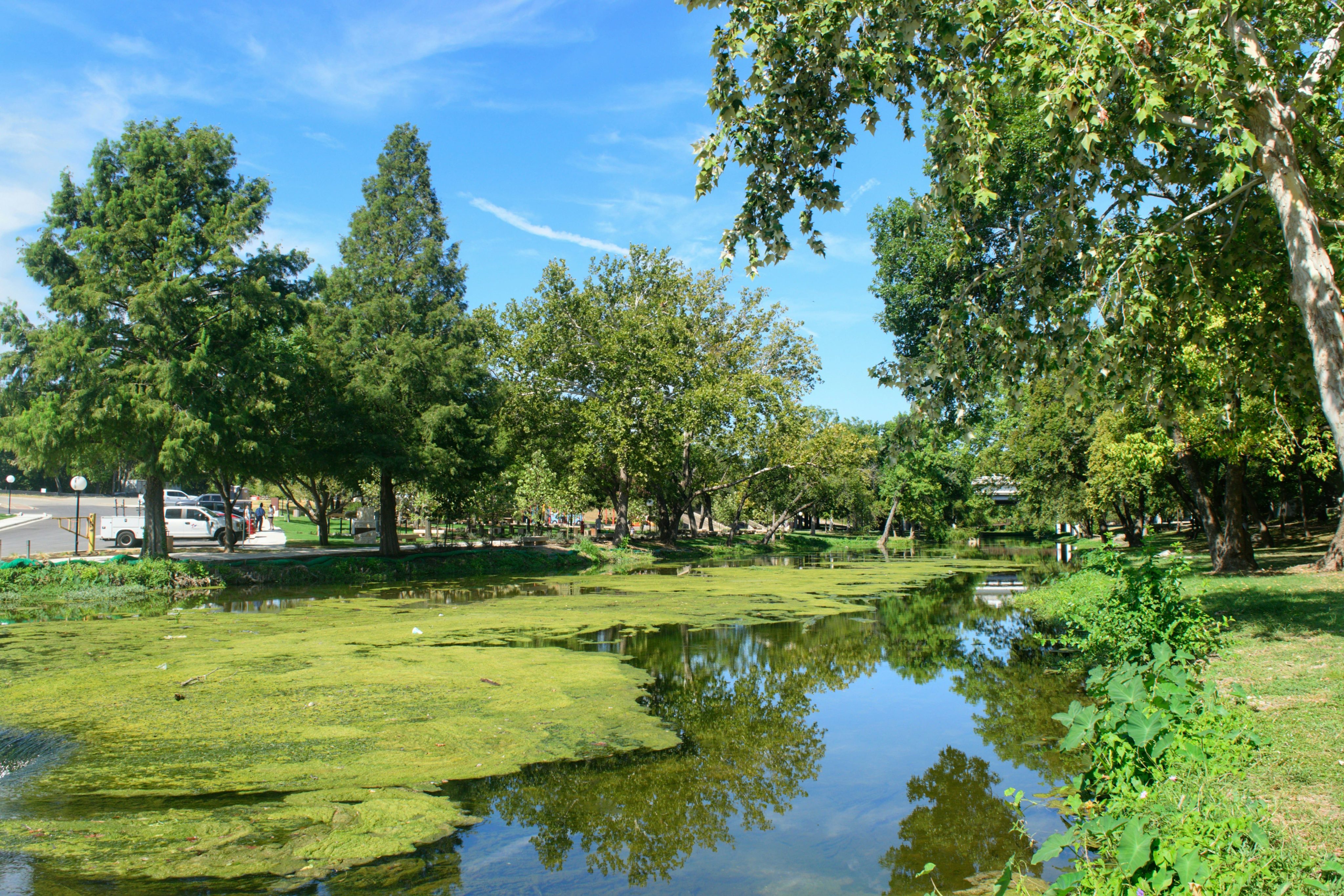 luis-rodriguez-IeeEZNq2g48-unsplash (1)