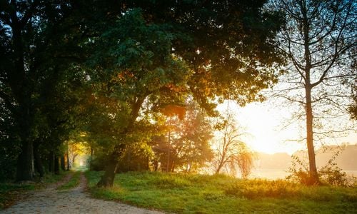 Rating Walk Score: What It's Really Like To Live In &hellip;