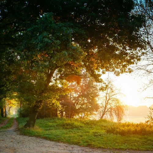 Rating Walk Score: What It's Really Like To Live In Brushy Creek