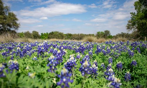 5 Things We’re Most Looking Forward to Now That Spring &hellip;