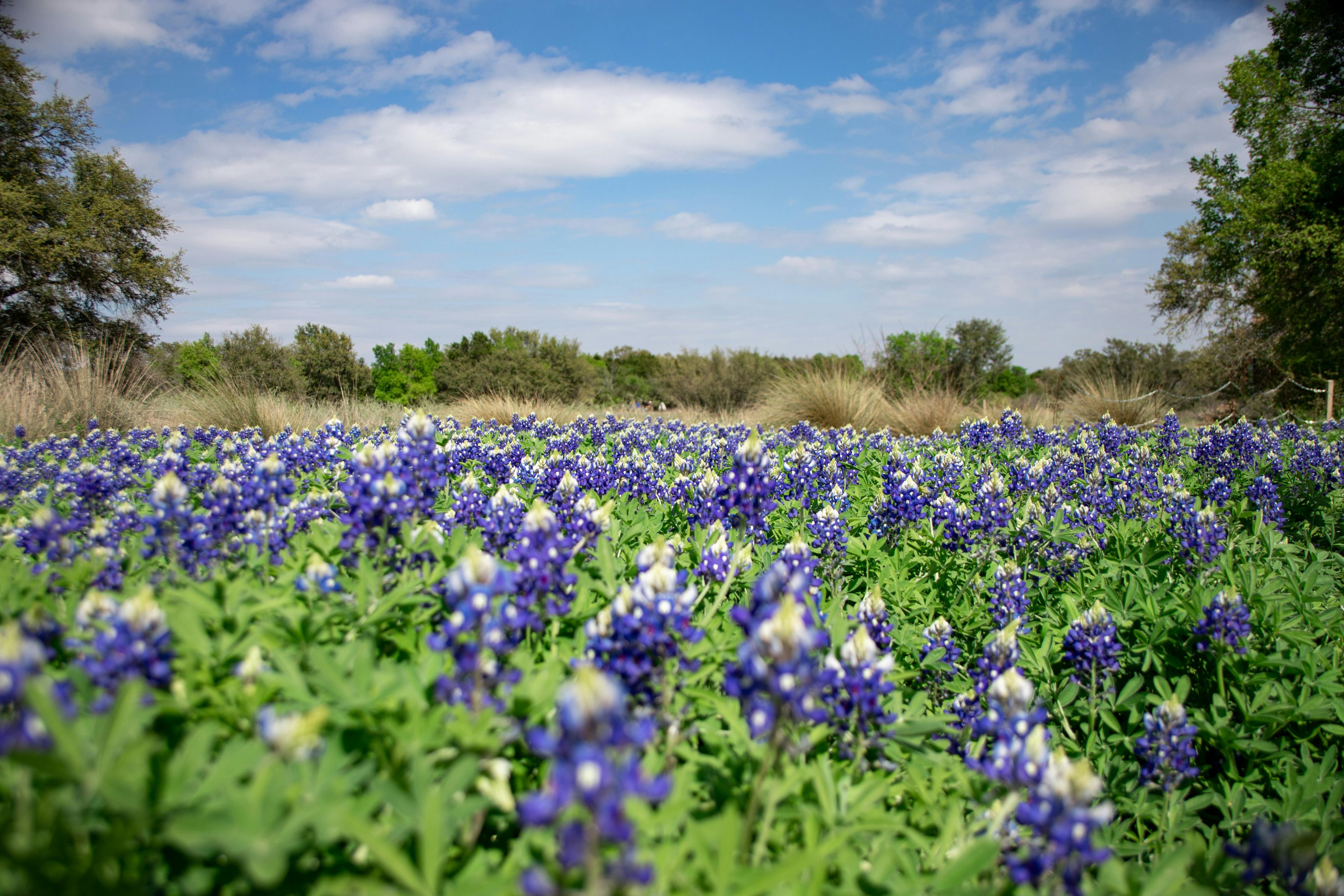 pexels-prathsnap-18554232