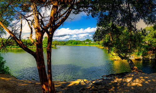 Living Along the Brushy Creek Trail: What It’s Really Like &hellip;