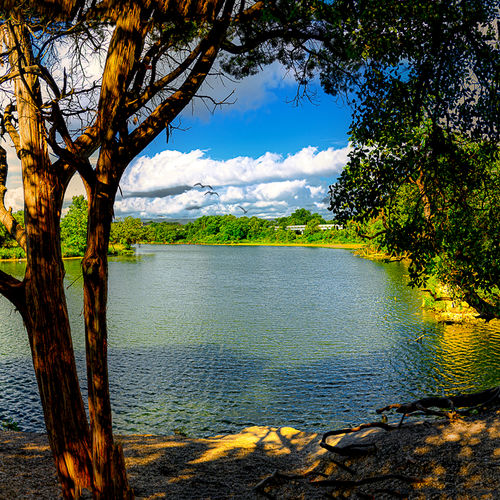 Living Along the Brushy Creek Trail: What It’s Really Like to Have the Greenbelt in Your Backyard