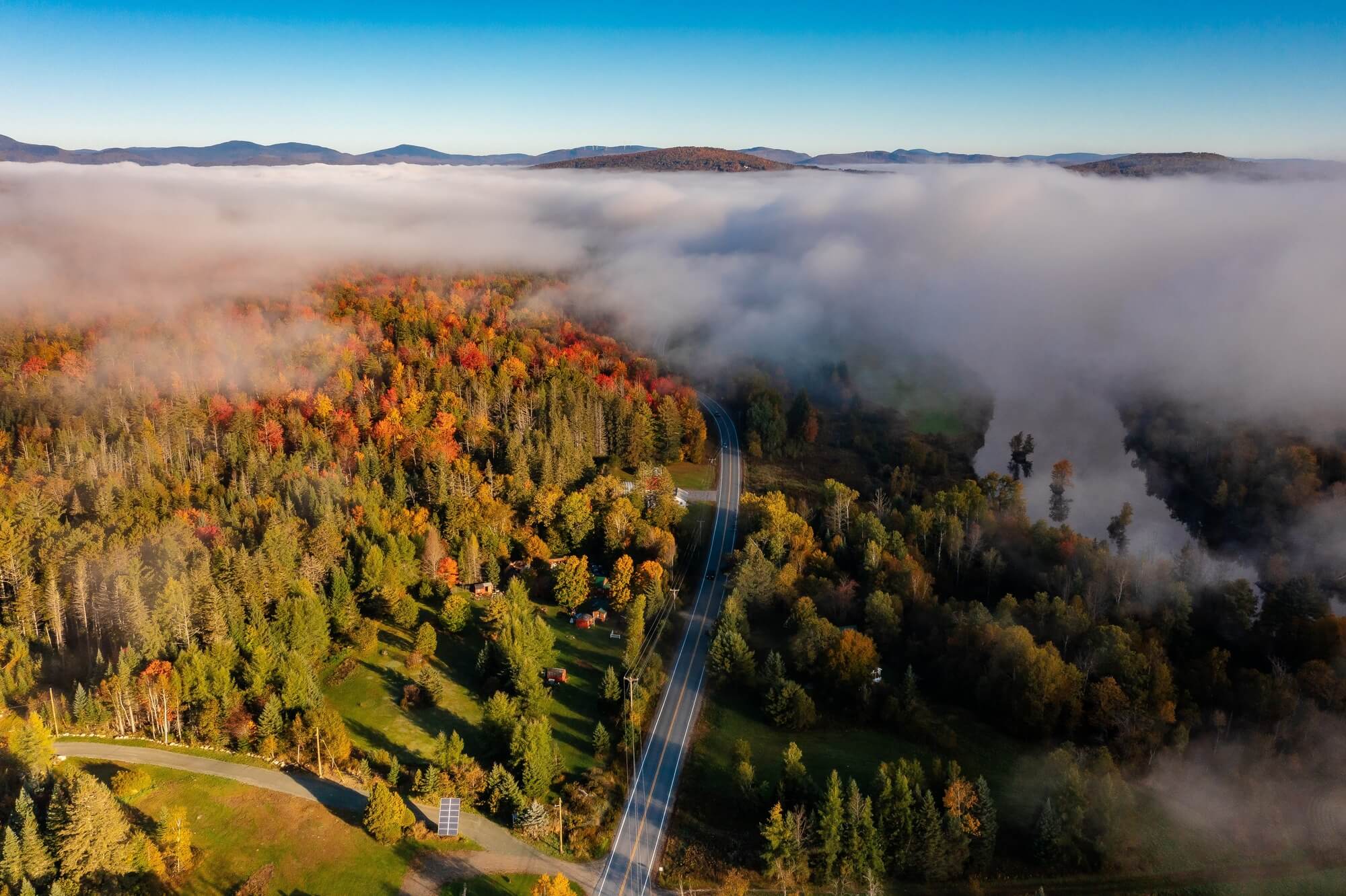 autumn forest misty road