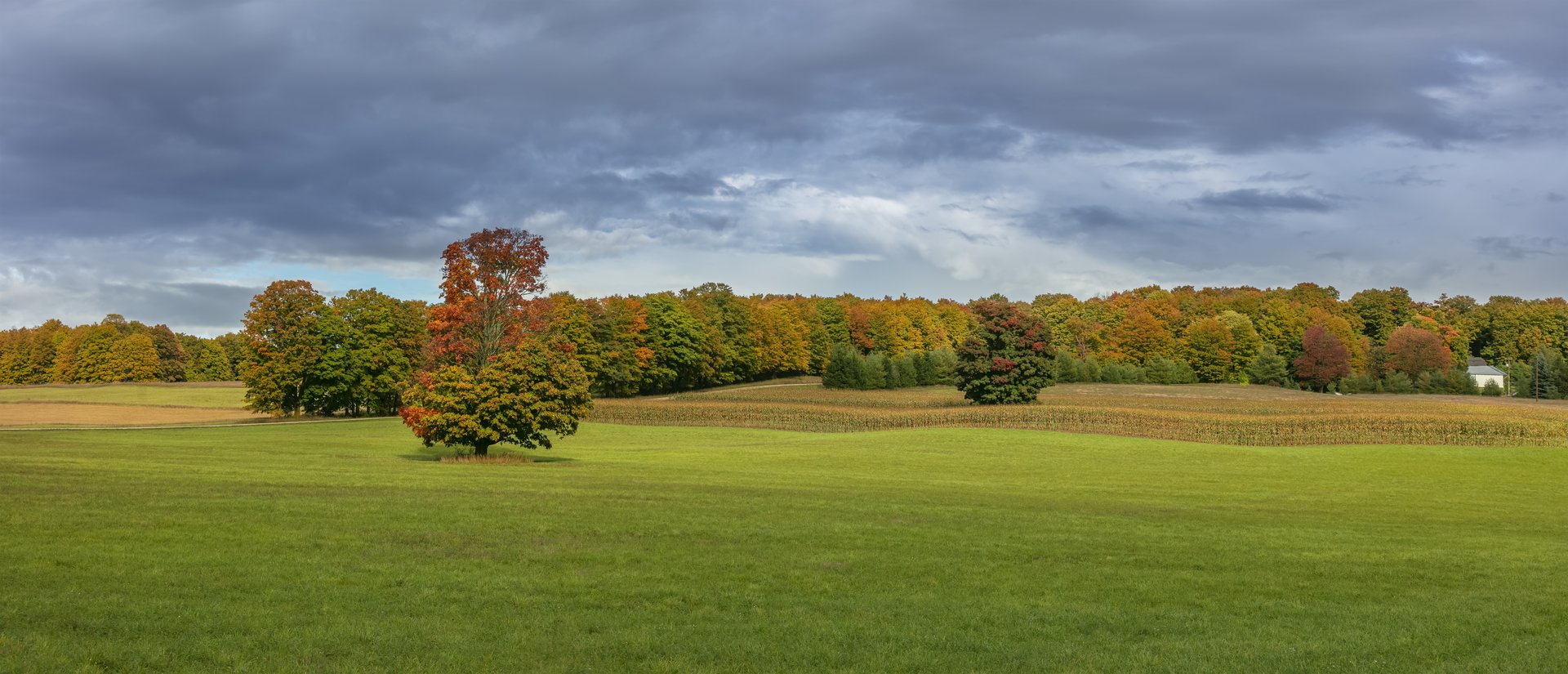Vacant Land