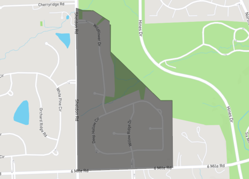 ravines of northville.png