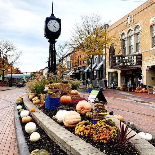 Downtown Northville Redevelopment Recognized by Michigan Main Street: What It Means for Northville Residents