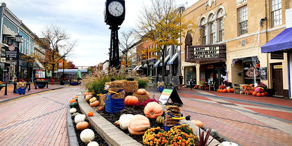 Downtown Northville Redevelopment Recognized by Michigan Main Street: &hellip;