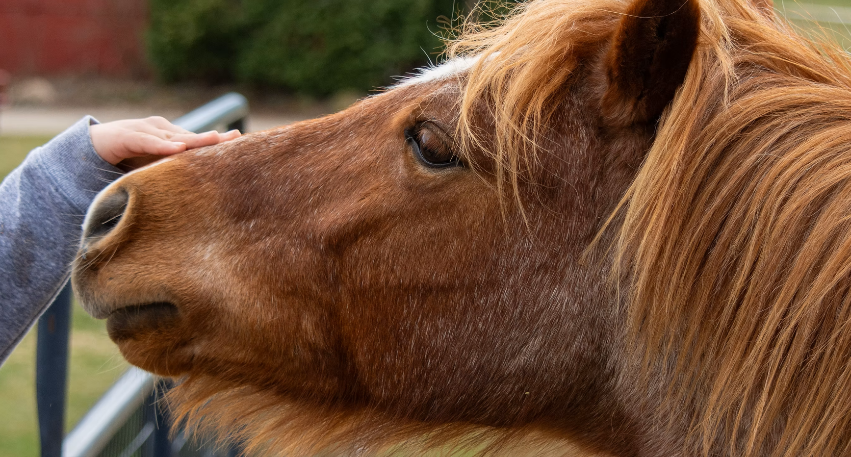 Screenshot 2026-03-30 124013